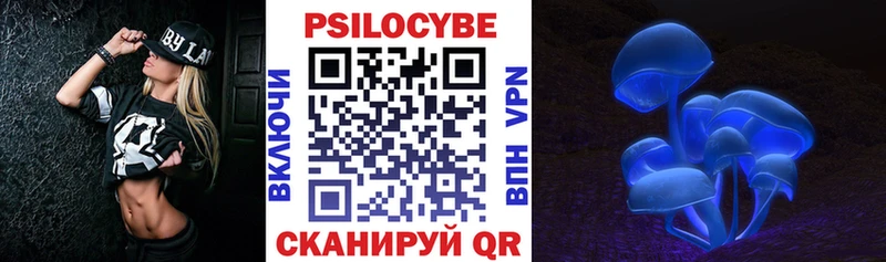 купить  цена  Нерехта  Галлюциногенные грибы Psilocybe 